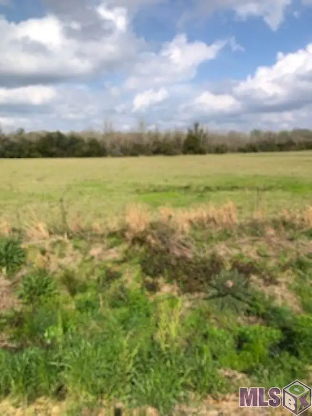 Tract C-1 Jacocks Rd, Slaughter, LA 70791 - Image #3
