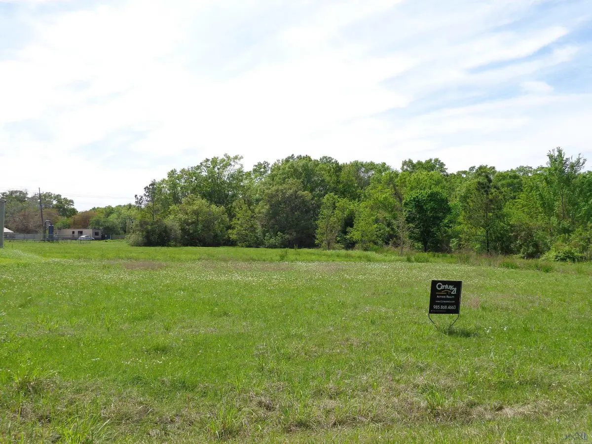 1009 N Luke Dr, Franklin, LA 70538 - #1