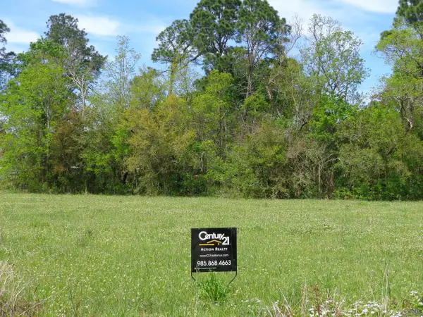 925 S Luke Dr, Franklin, LA 70538