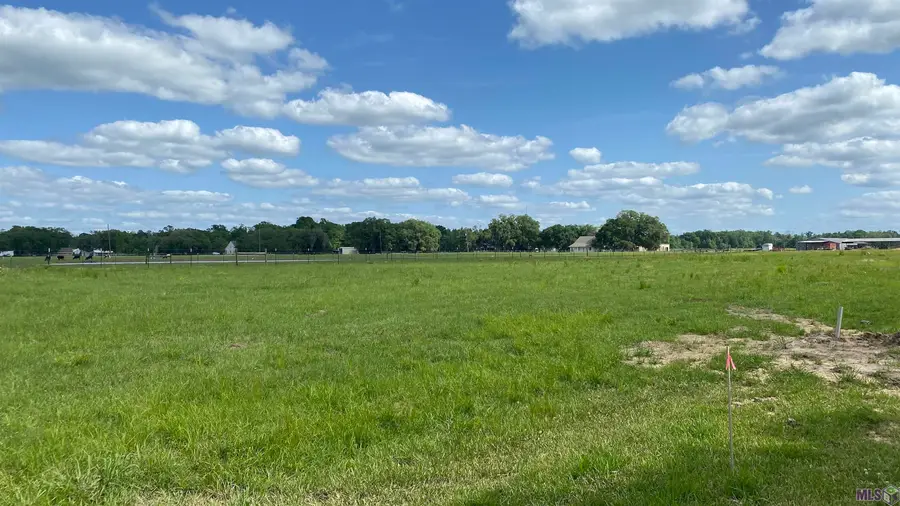11080 Cessna St, Gonzales, LA 70737 - #3