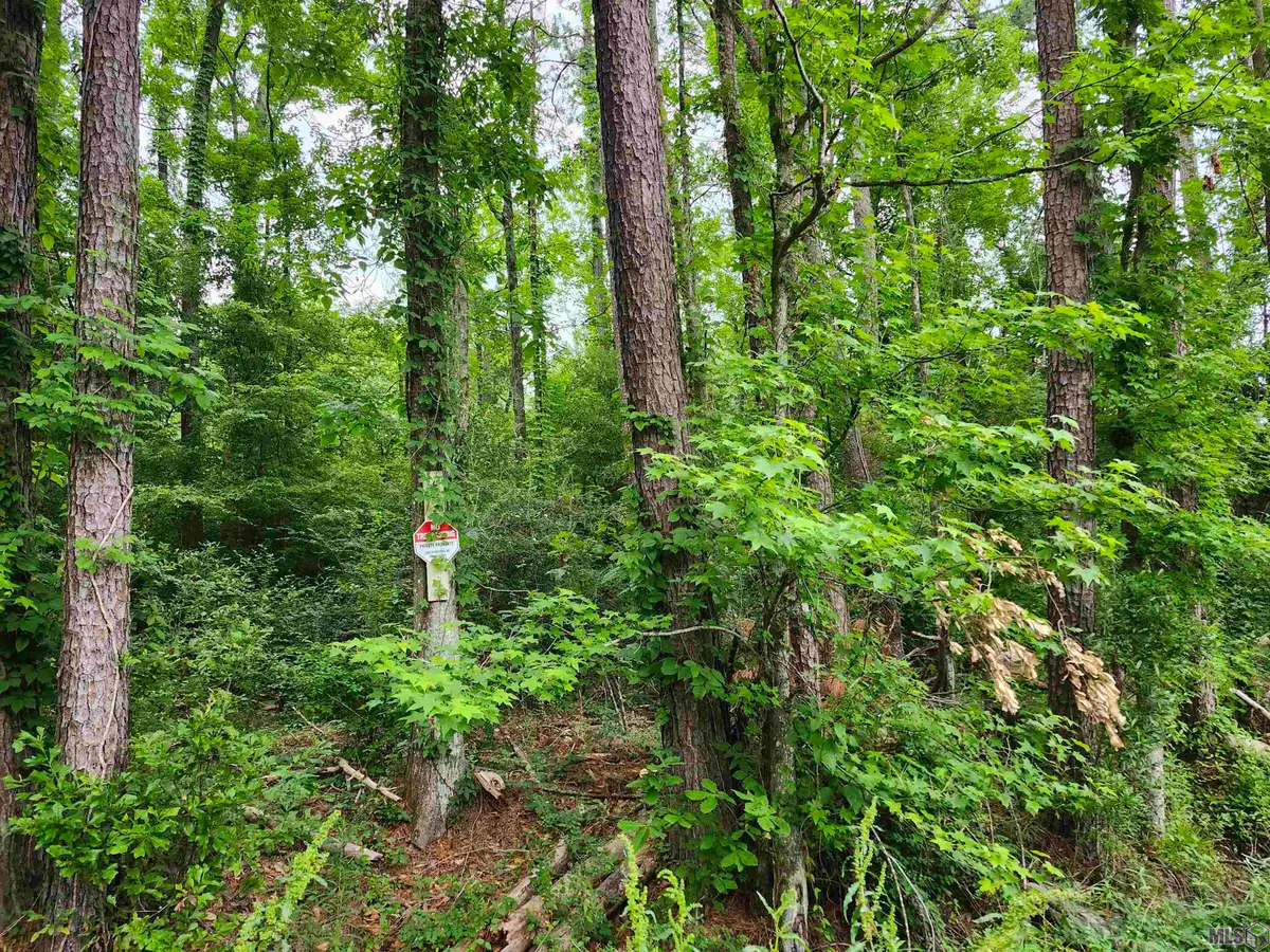 Lot 83 Baker Dr, Denham Springs, LA 70726 - Image #1