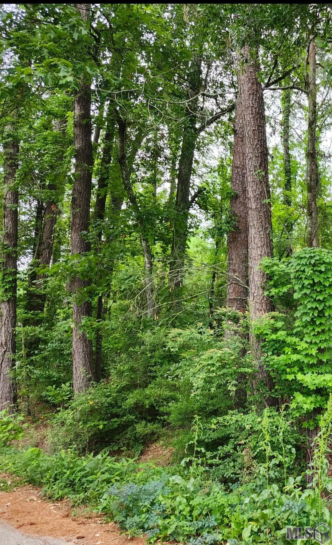 Lot 85 Baker Dr, Denham Springs, LA 70726 - Image #1