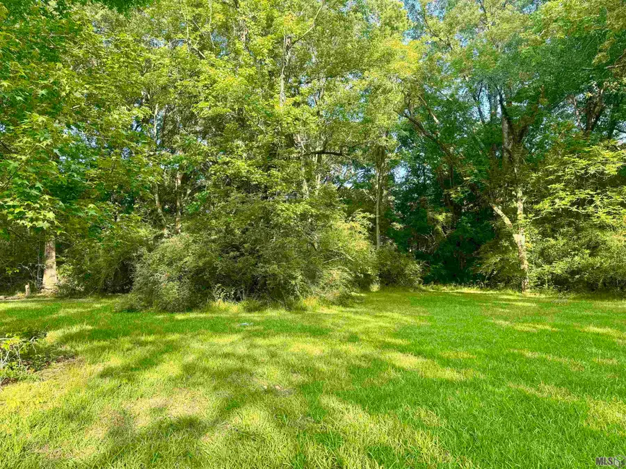 Lot C Hazeloak Dr, Baker, LA 70714 - Image #2