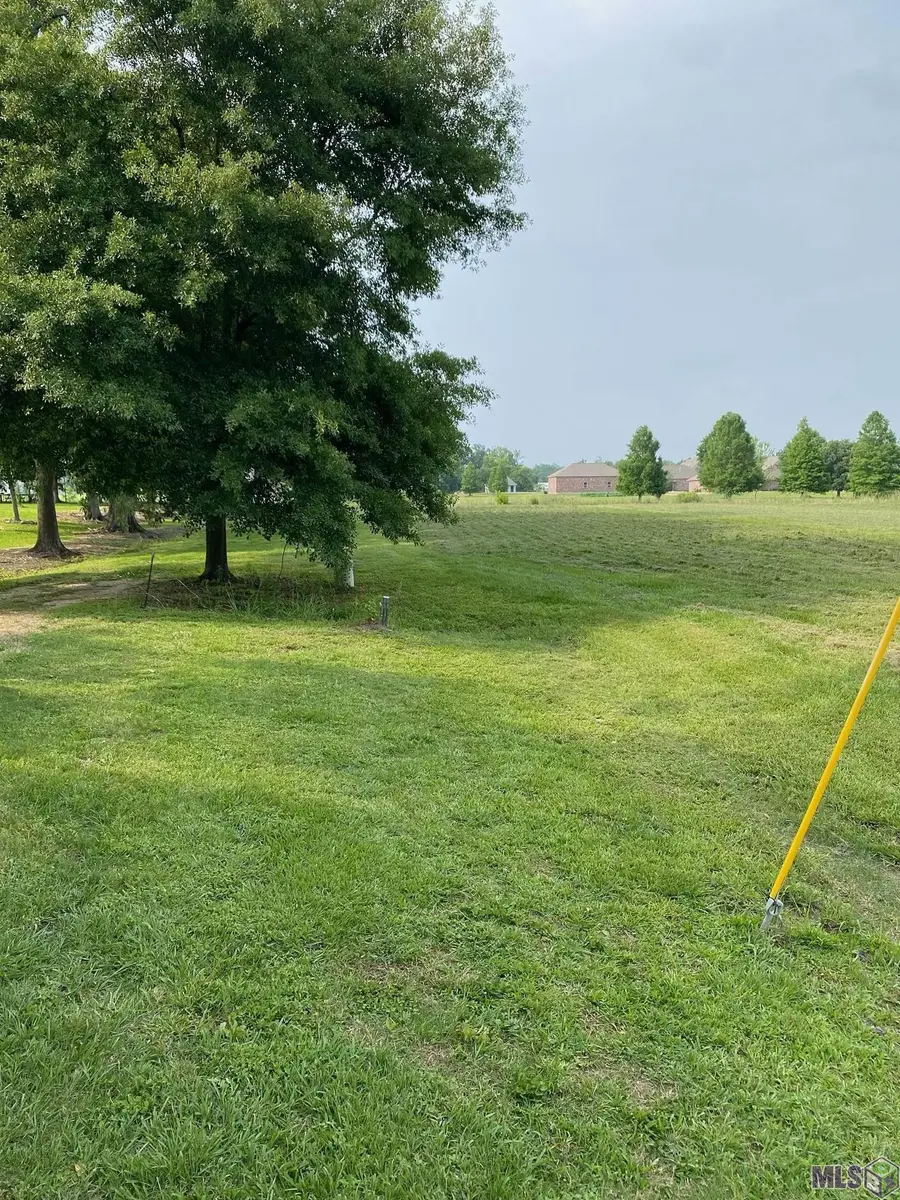 43306 Angel Ln, Gonzales, LA 70737 - Image #2