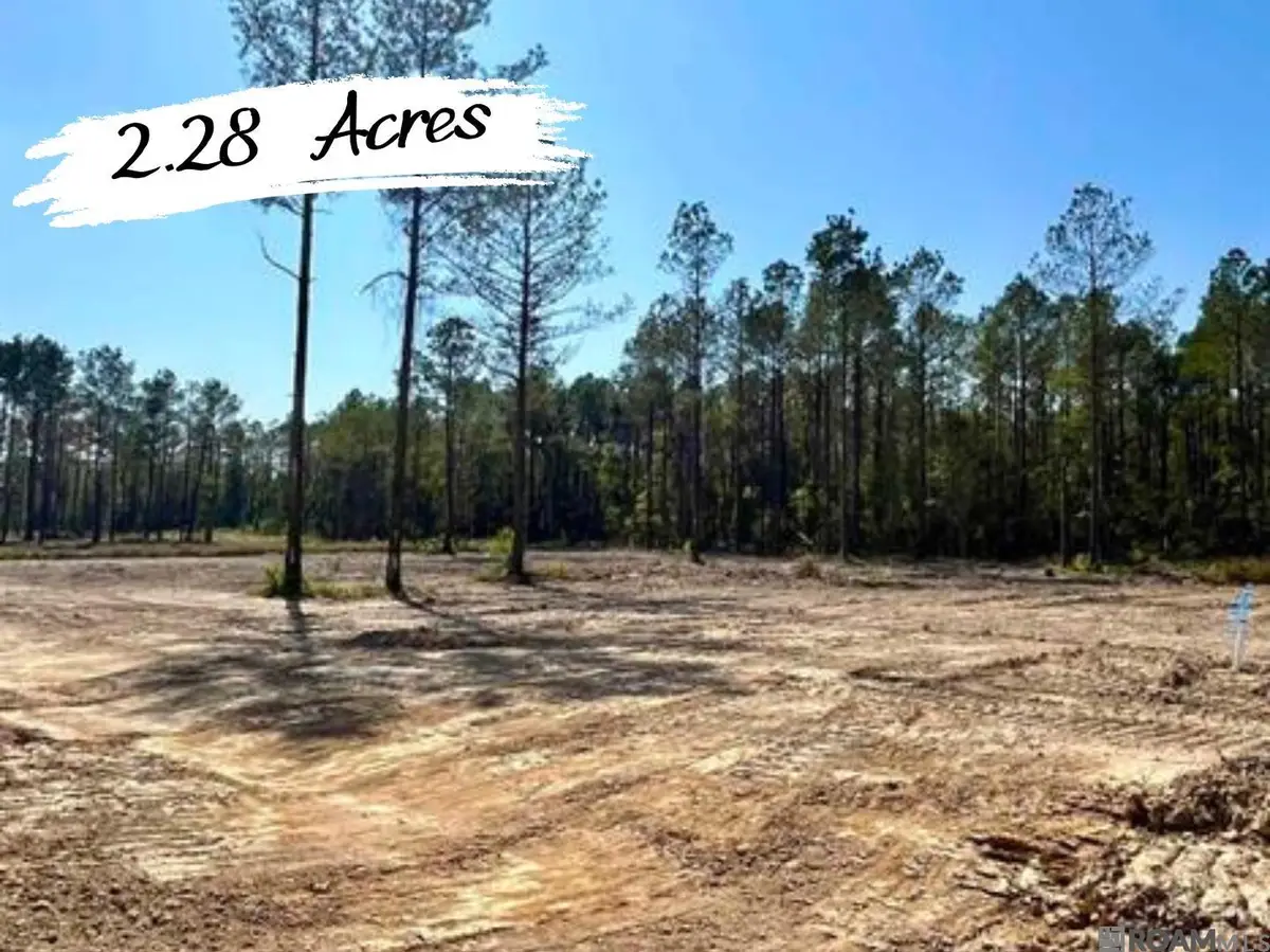 26467 Wagon Wheel Drive, Holden, LA 70744 - Image #1