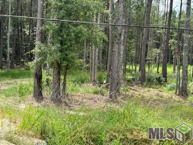 14373 Springfield Rd, Walker, LA 70785 - Image #2