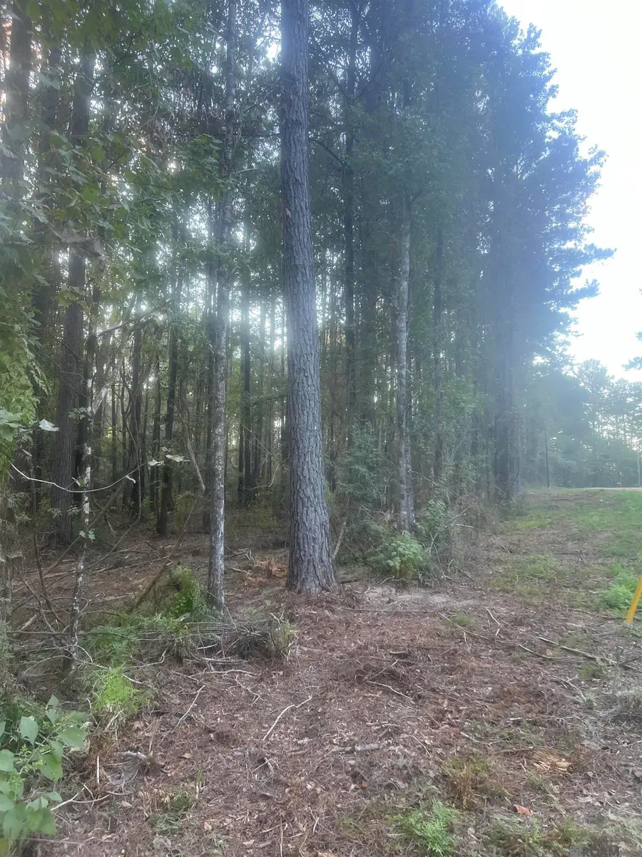 TBD-B2 La Hwy 10, Clinton, LA 70722 - Image #2