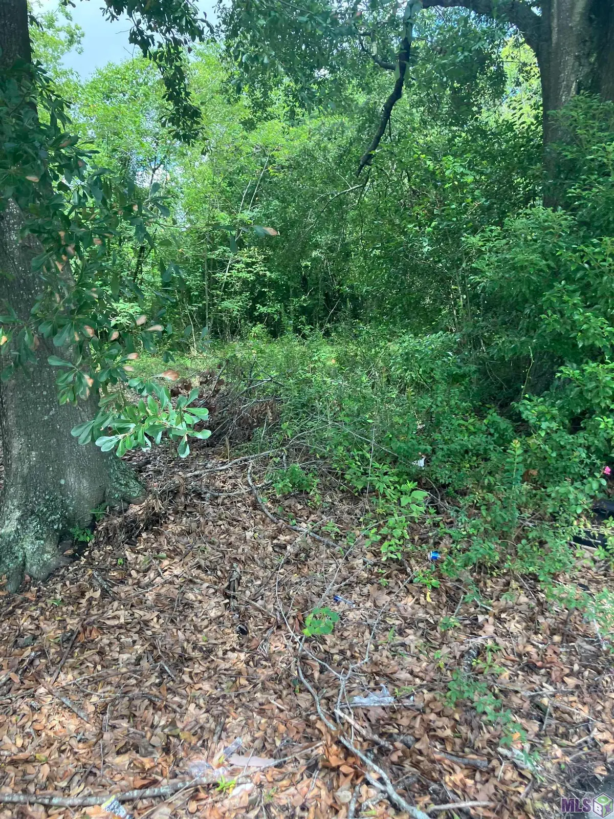 615 N 33rd St, Baton Rouge, LA 70802 - Image #1