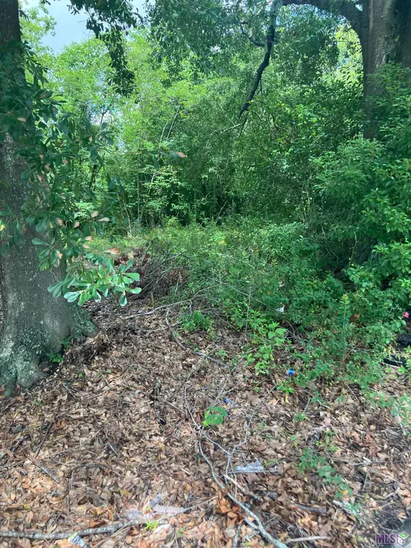 615 N 33rd St, Baton Rouge, LA 70802