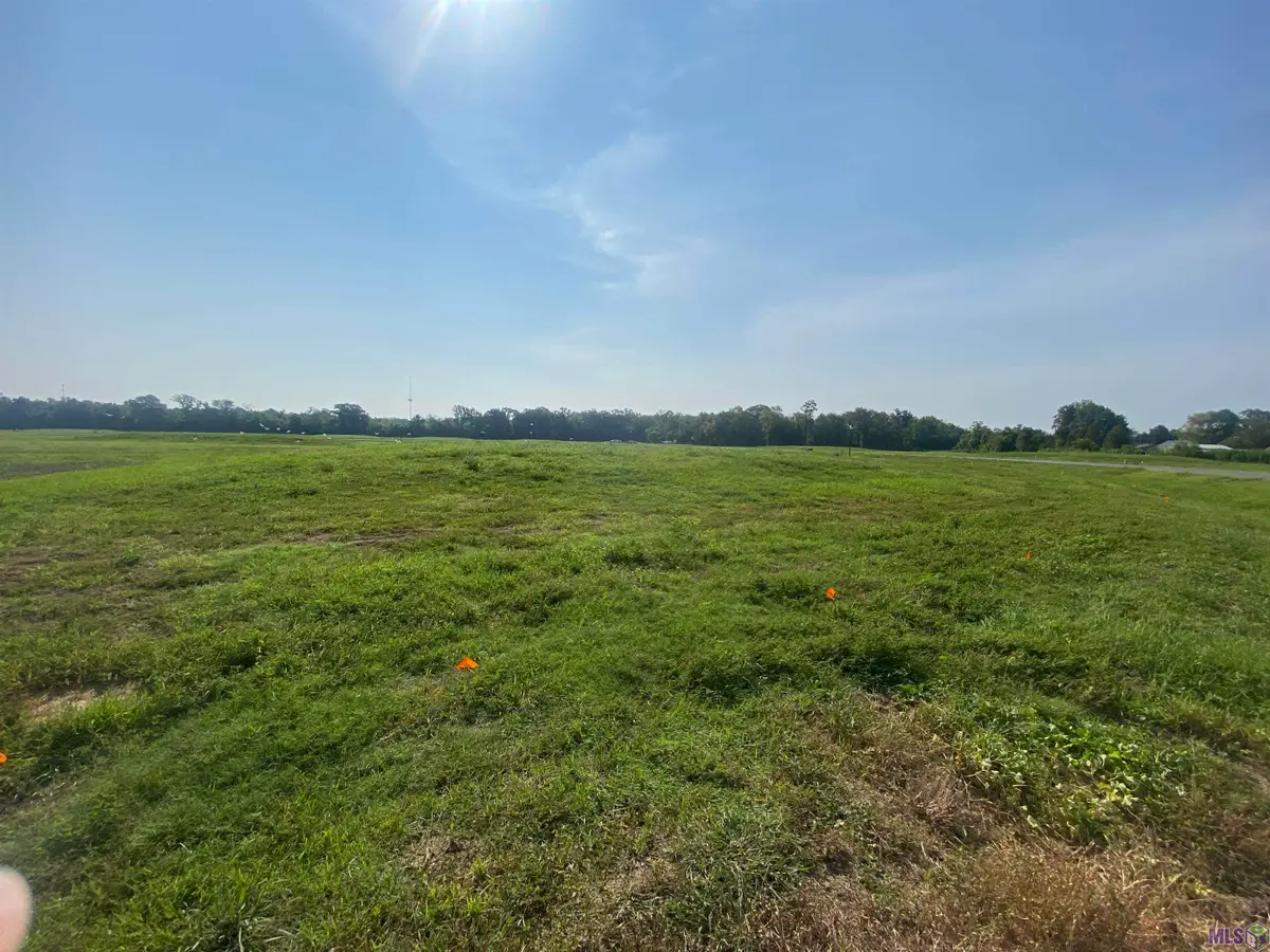 lot 19 Buddy Gore Rd, Gonzales, LA 70737 - Image #1