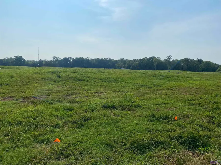 lot 19 Buddy Gore Rd, Gonzales, LA 70737 - Image #2