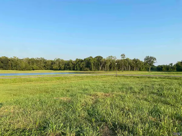 lot 20 Buddy Gore Rd, Gonzales, LA 70737