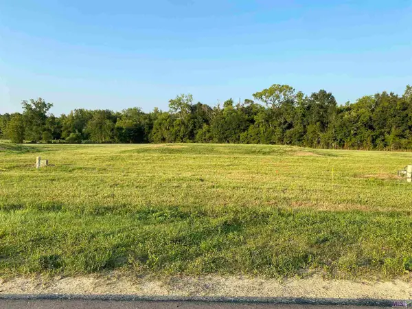 Lot 29 Buddy Gore Rd, Gonzales, LA 70737