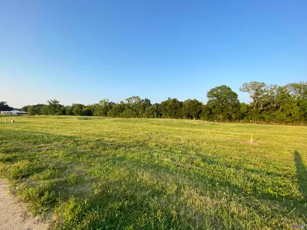 Lot 30 Buddy Gore Rd, Gonzales, LA 70737
