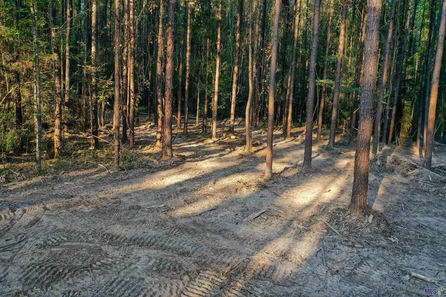 Lot 21 La Hwy 449, Pine Grove, LA 70453 - Image #3