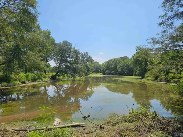 TBD La Hwy 931, Prairieville, LA 70769