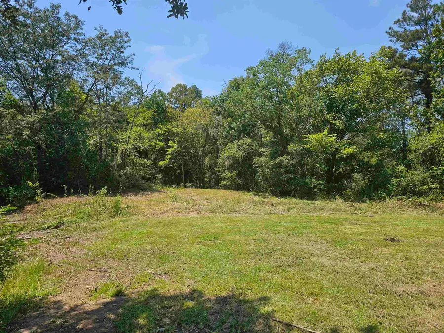 TBD La Hwy 931, Prairieville, LA 70769 - Image #3