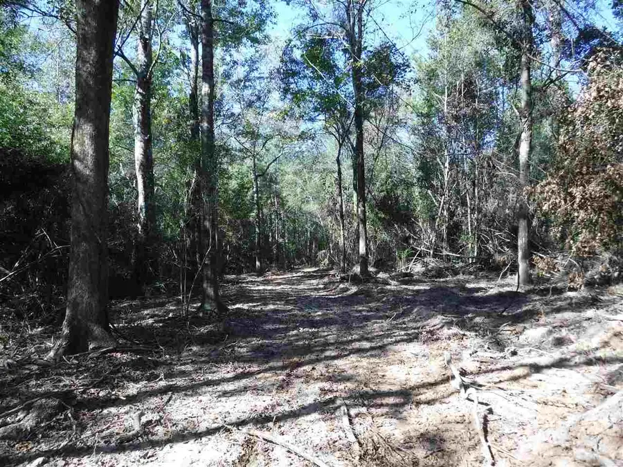 X7B La Hwy 955, Ethel, LA 70730 - Image #2