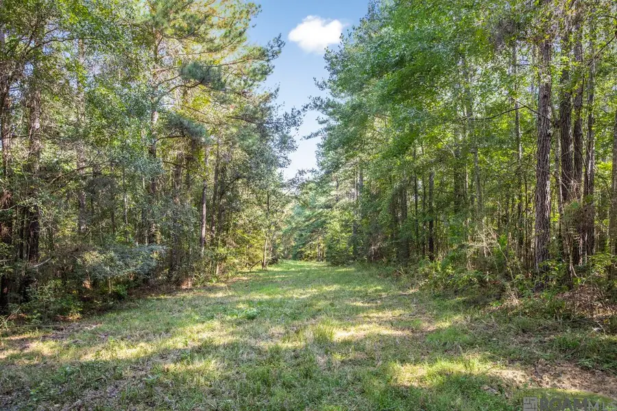 Tract C Peterson Rd, Saint Francisville, LA 70775 - Image #2