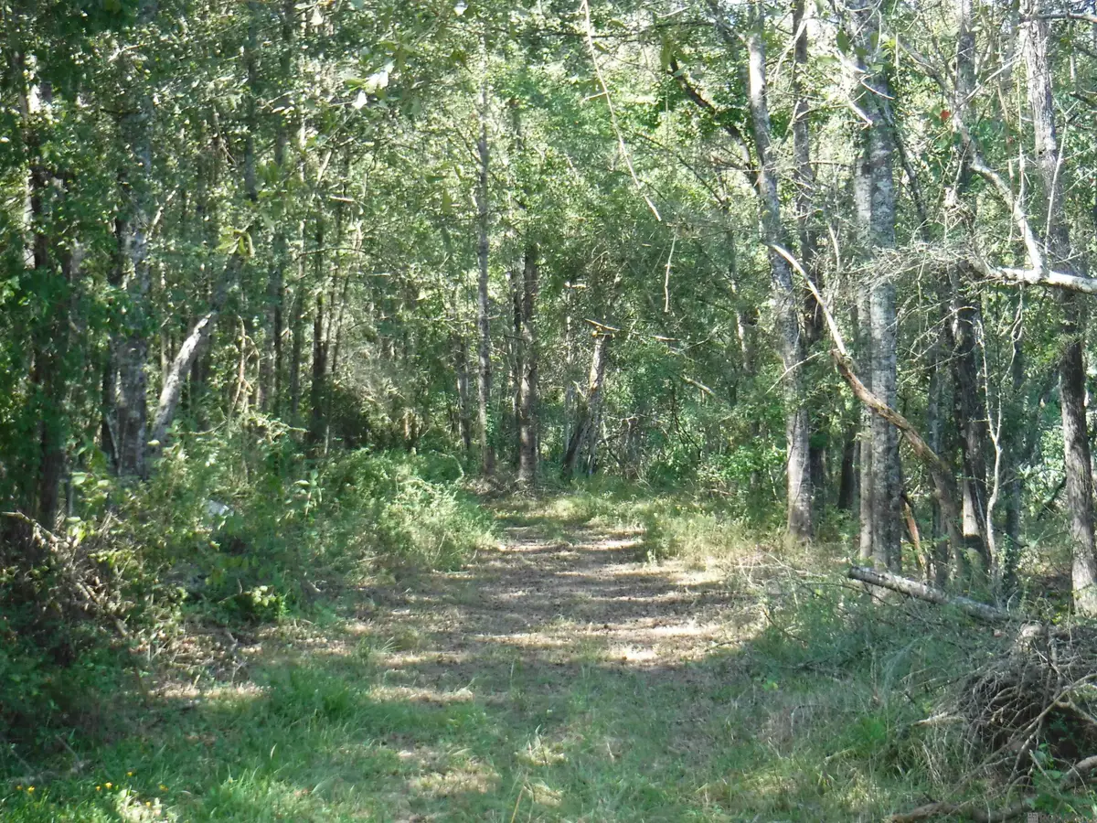 TBD La 19 Highway, Slaughter, LA 70777 - Image #1