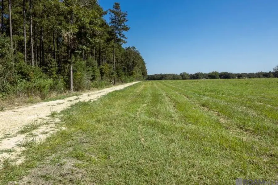 V1 Jim Price Rd, Clinton, LA 70722 - Image #3