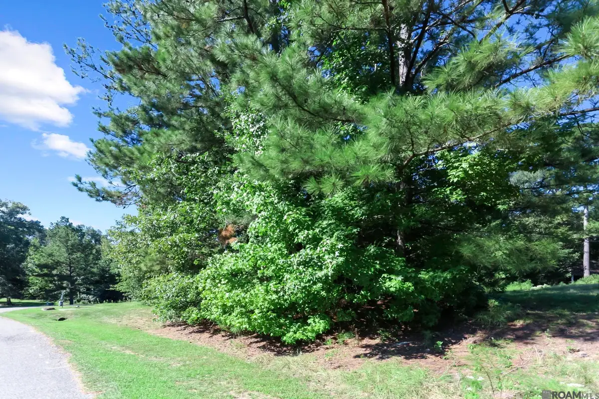 13783 Oakley Ln, Saint Francisville, LA 70775 - Image #1