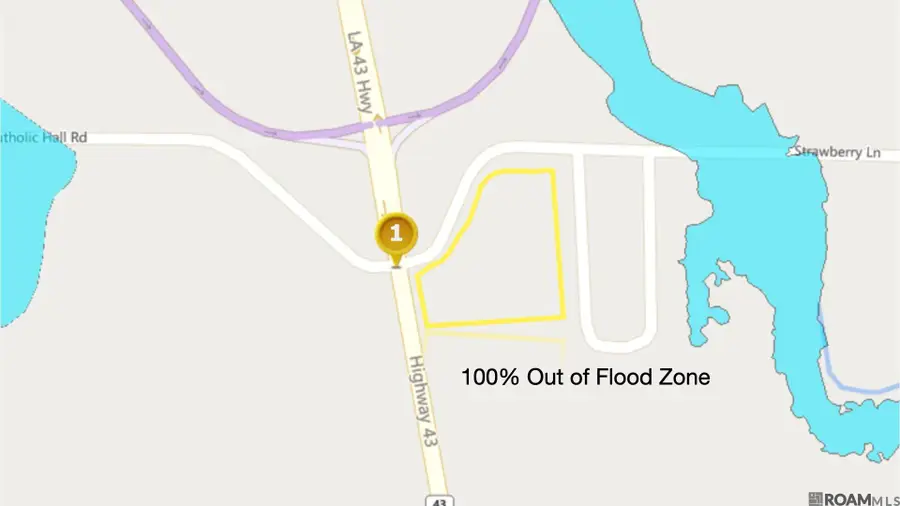 TBD La Hwy 43, Albany, LA 70711 - Image #2