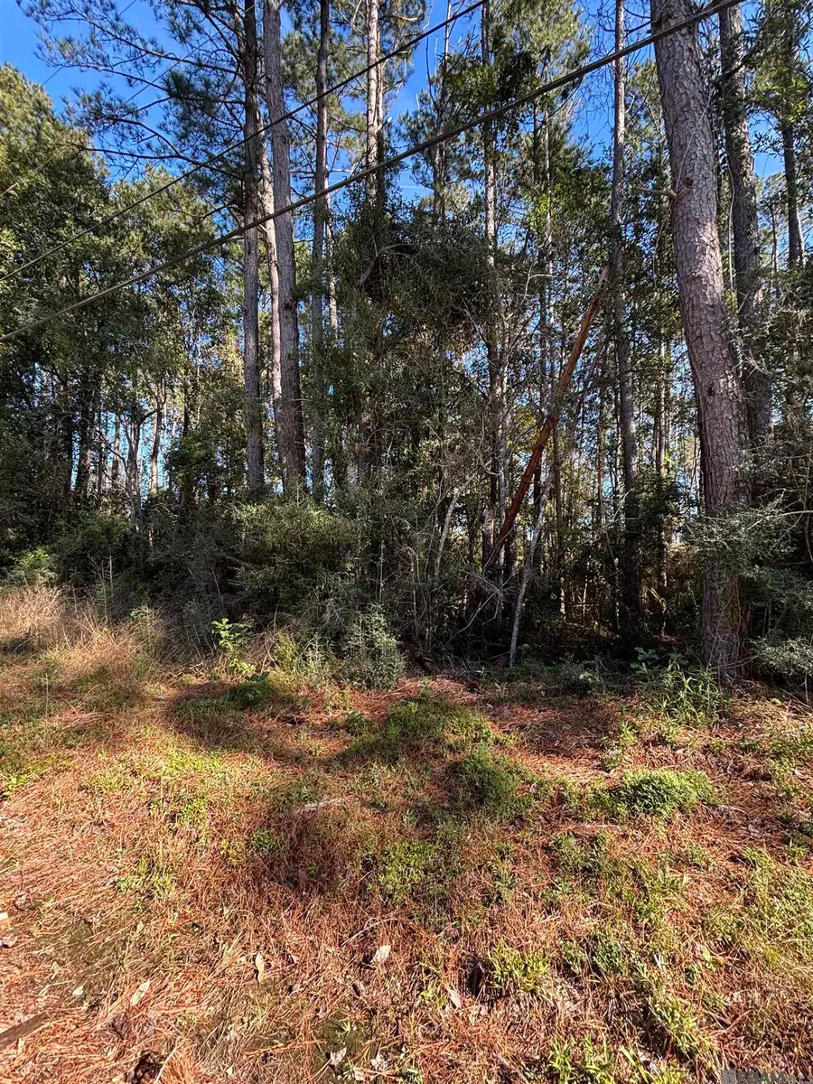 26514 Clyde Blount Rd, Livingston, LA 70754 - Image #3