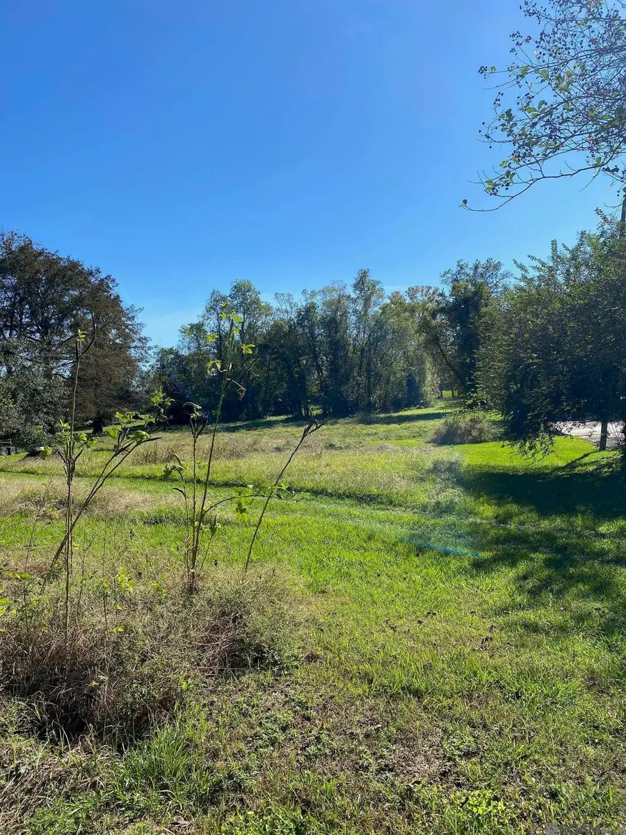 0000 Island Rd, Jarreau, LA 70749 - Image #2