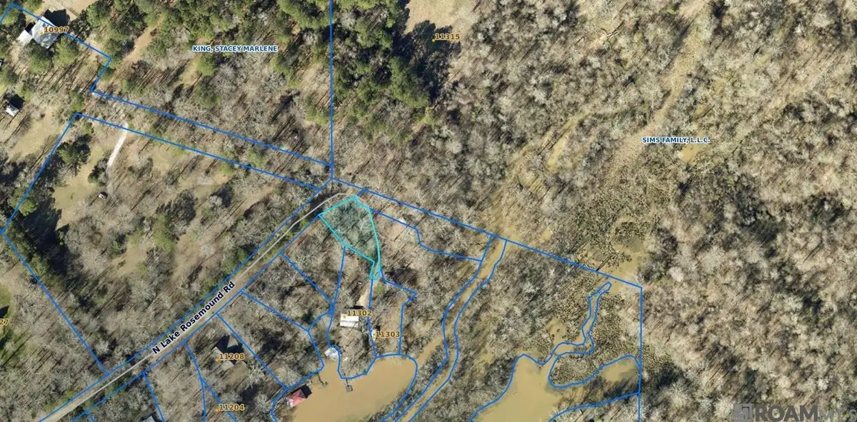 593 N Lake Rosemound Rd, Saint Francisville, LA 70775 - #1