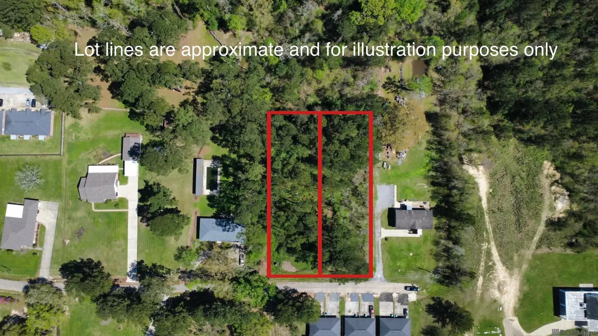 2 ACRES Norma Dr, Denham Springs, LA 70726 - #1