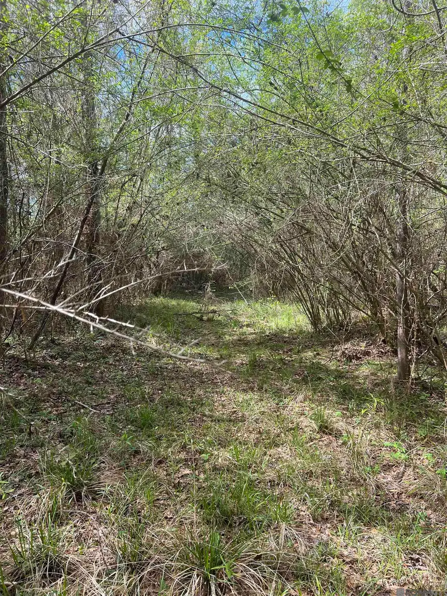 TBD G-2 Idlewild Rd, Clinton, LA 70722 - Image #2