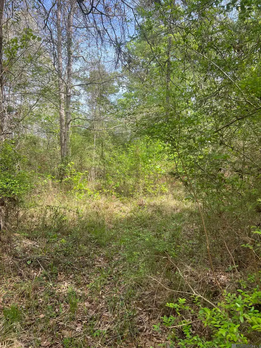 TBD G-2 Idlewild Rd, Clinton, LA 70722 - Image #3