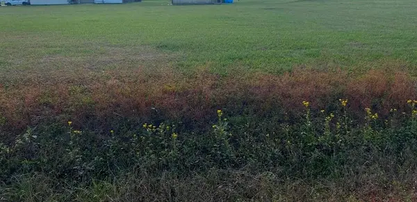 Lot 13 Roy St, Plattenville, LA 70393