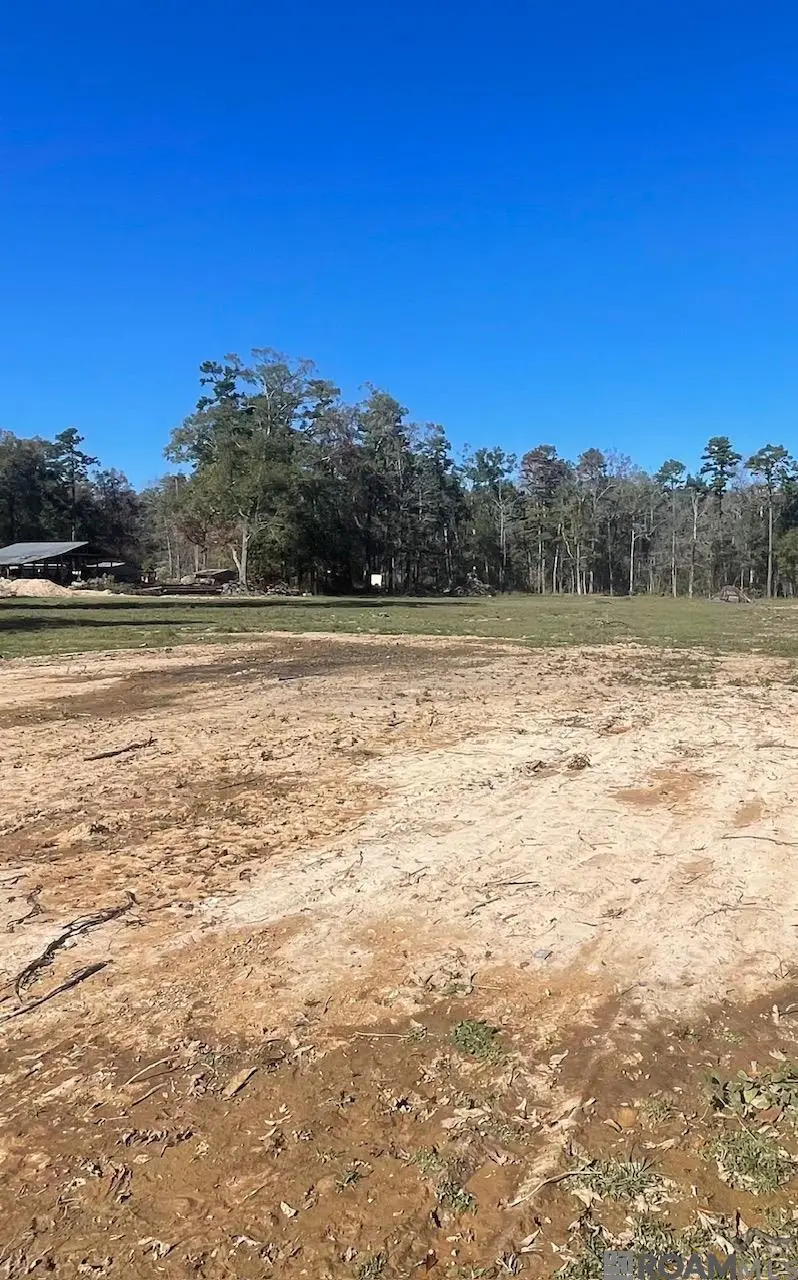 8635 Arnold Rd, Denham Springs, LA 70726 - Image #2