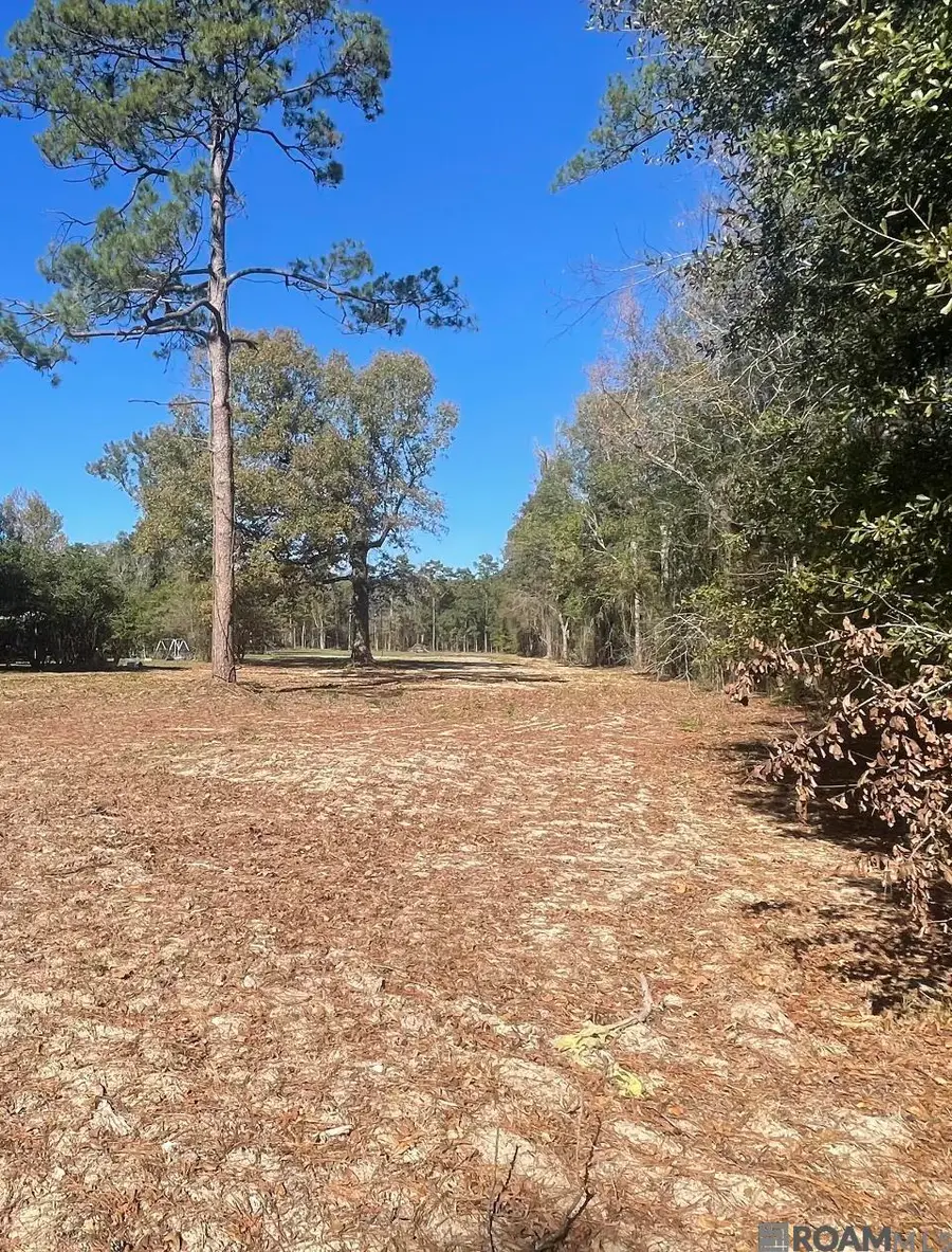 8635 Arnold Rd, Denham Springs, LA 70726 - Image #3