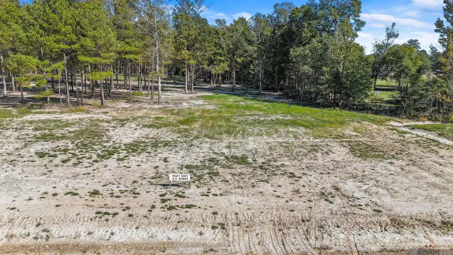 N-2-D-1-B Little Azalea Drive, Zachary, LA 70791 - Image #2