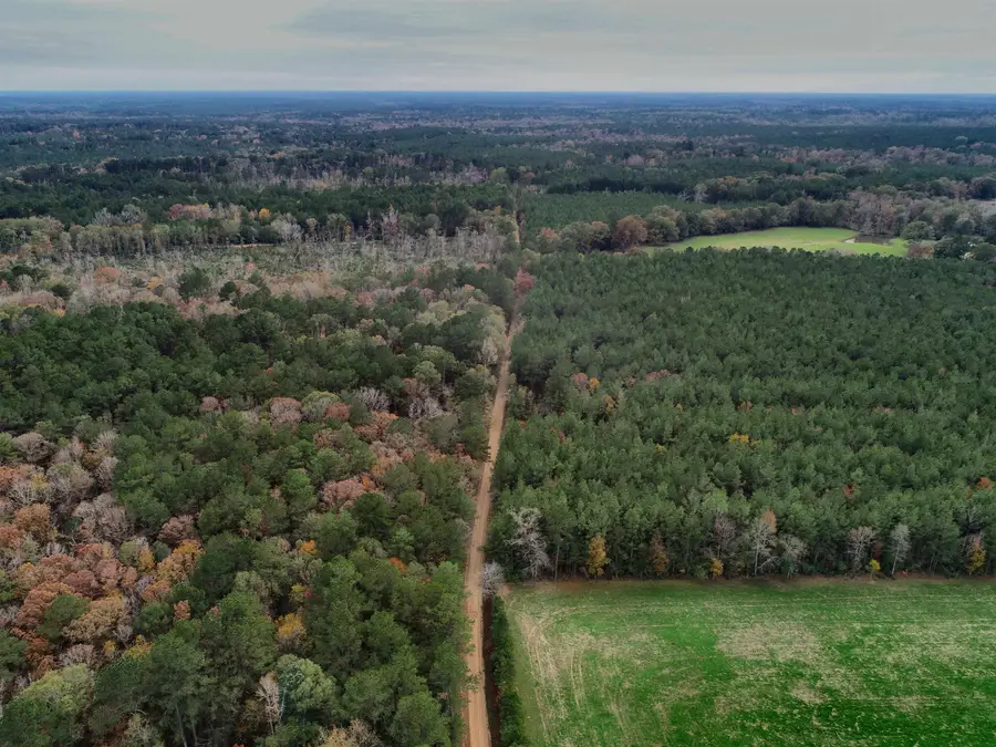 TBD Peterson Rd, Clinton, LA 70722 - Image #2