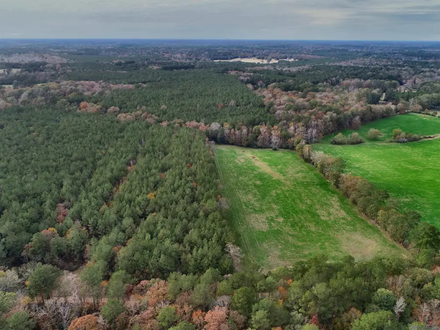 TBD Peterson Rd, Clinton, LA 70722 - Image #3