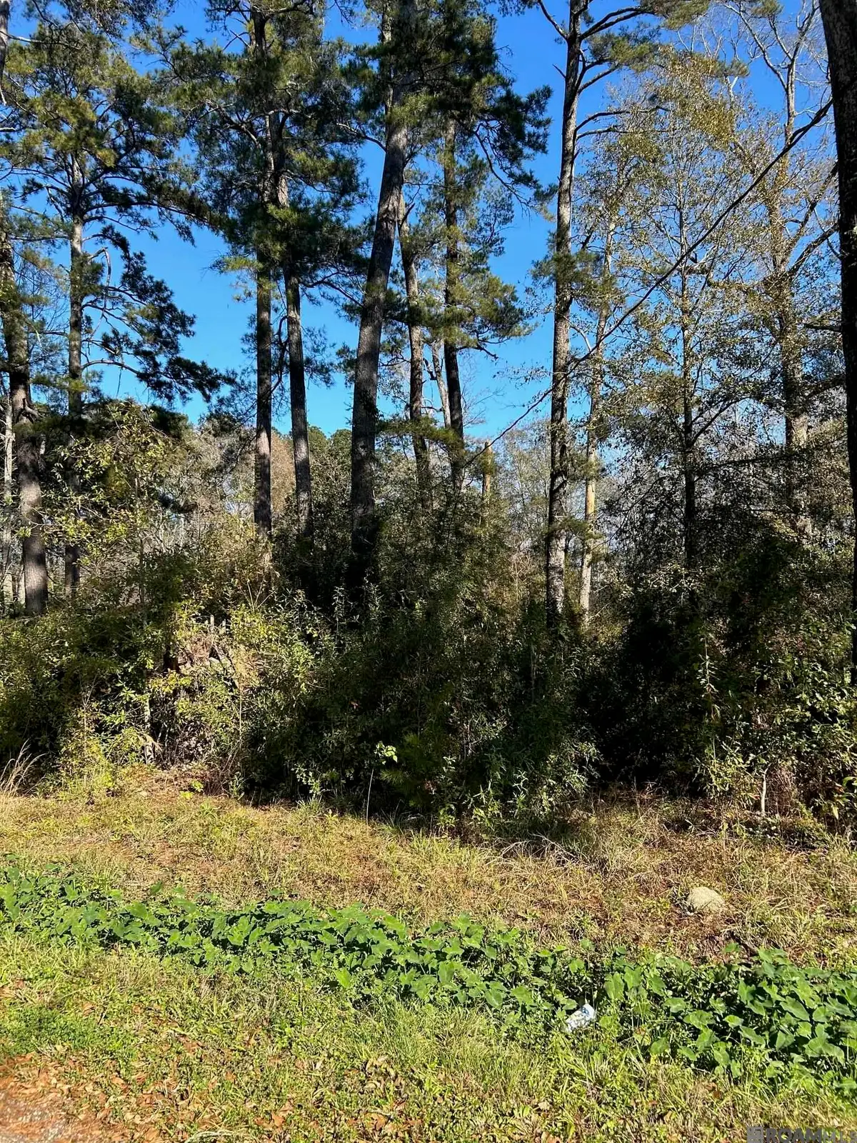 Lot 15 Magnolia Dr, Walker, LA 70785 - Image #1