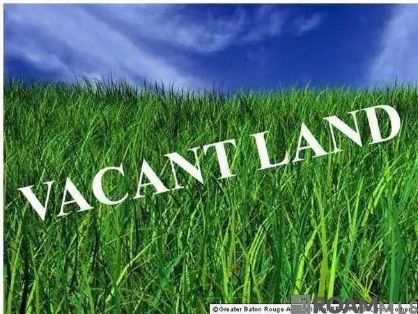 Lot N-1-A-1 Bill Morgan Rd, Prairieville, LA 70769