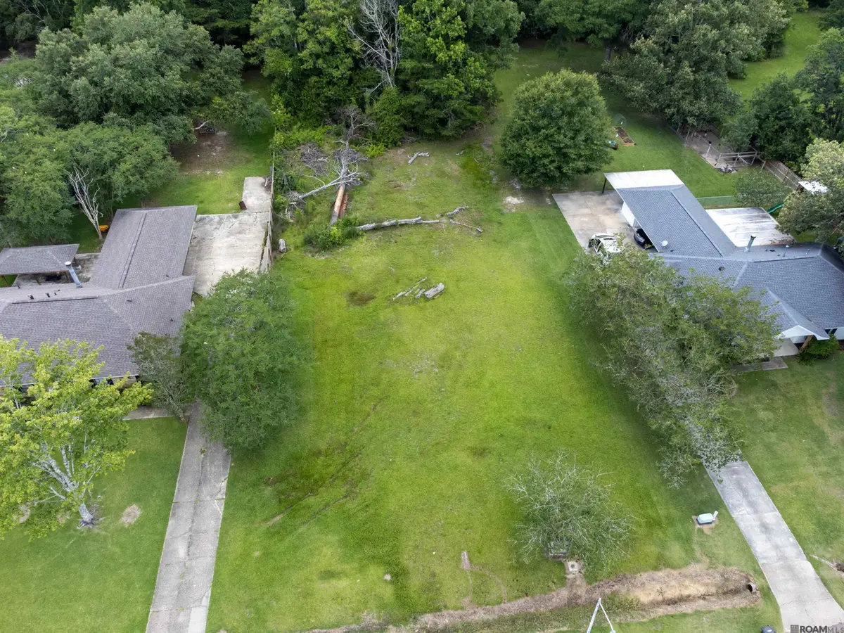 13025 Bridlewood Dr, Central, LA 70739 - Image #1