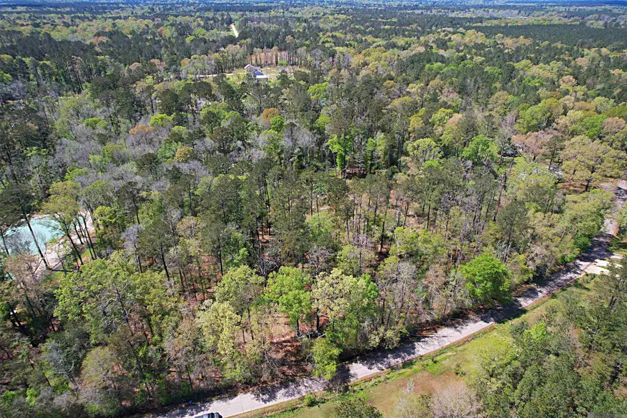 TBD Tyler Ballard Rd, Walker, LA 70785 - Image #2