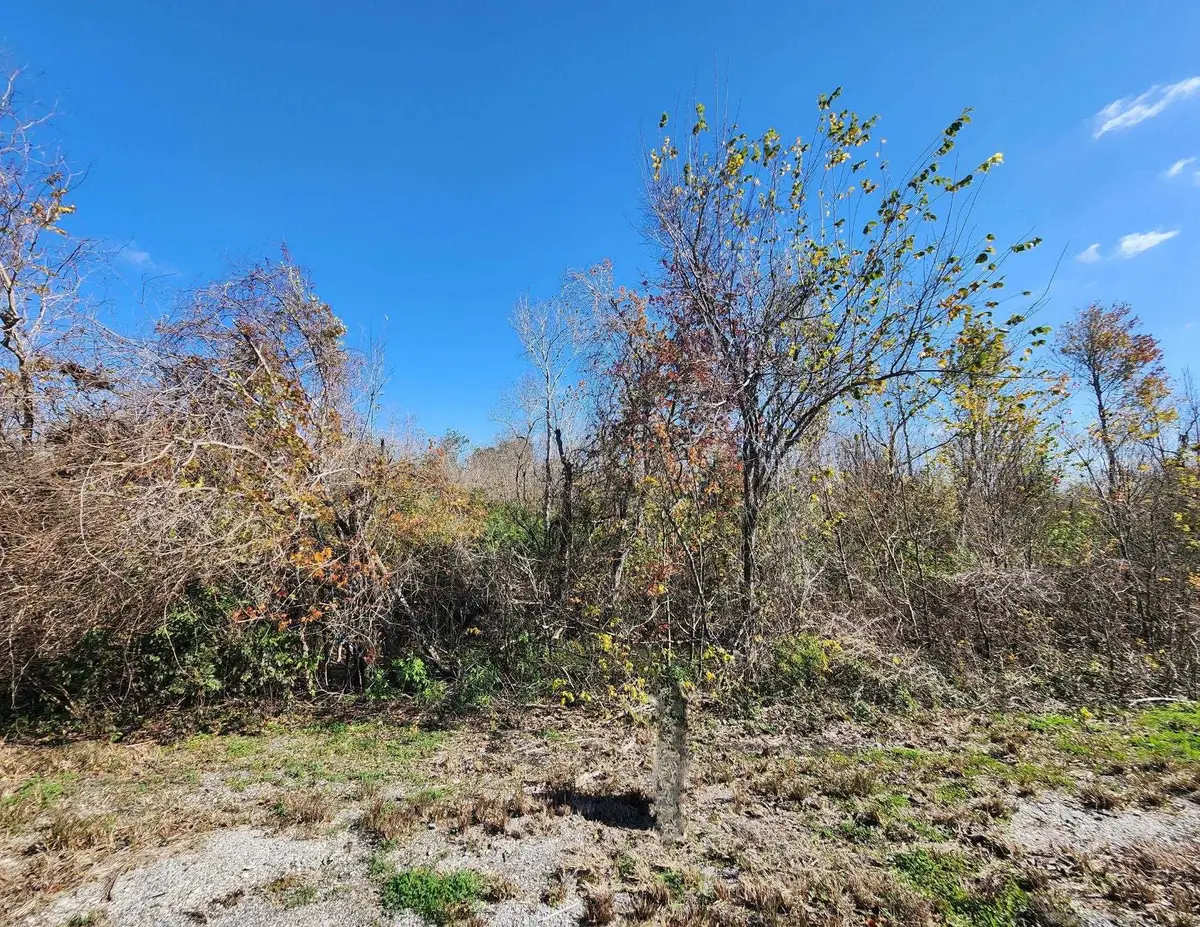 East TBD Highway 3235, Cut Off, LA 70345 - #1