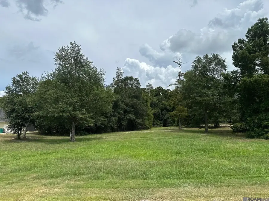 15850 Cypress Point Ln, French Settlement, LA 70733 - Image #3