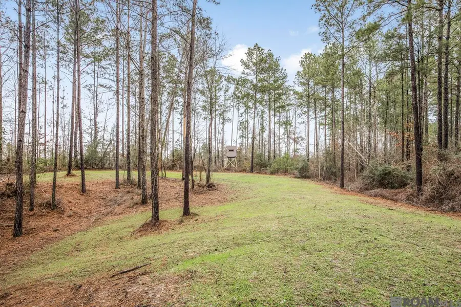 000 Rogers Rd, Saint Francisville, LA 70775 - Image #2