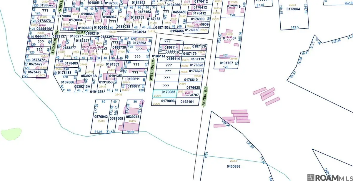 25428 Wisteria Ln, Springfield, LA 70462 - Image #1