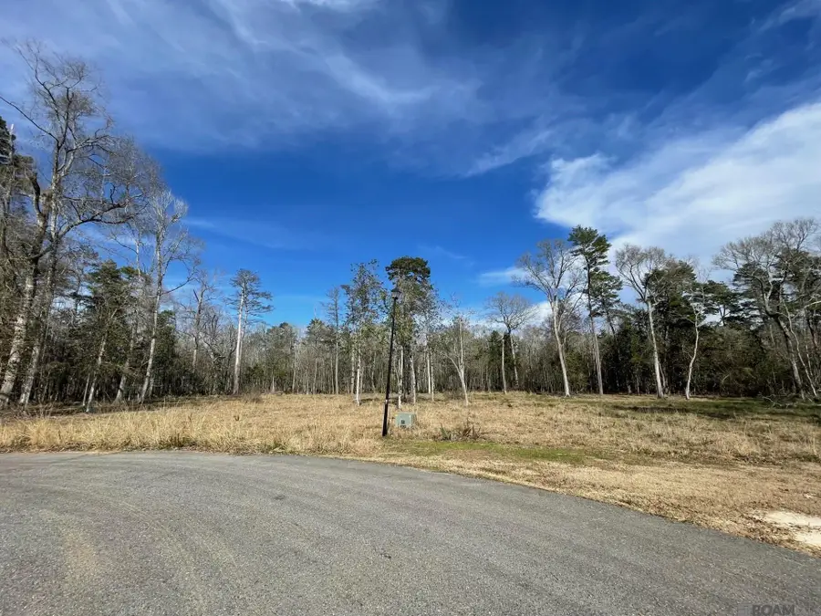 Lot 9 Ridgeway Ave, Denham Springs, LA 70726 - Image #3