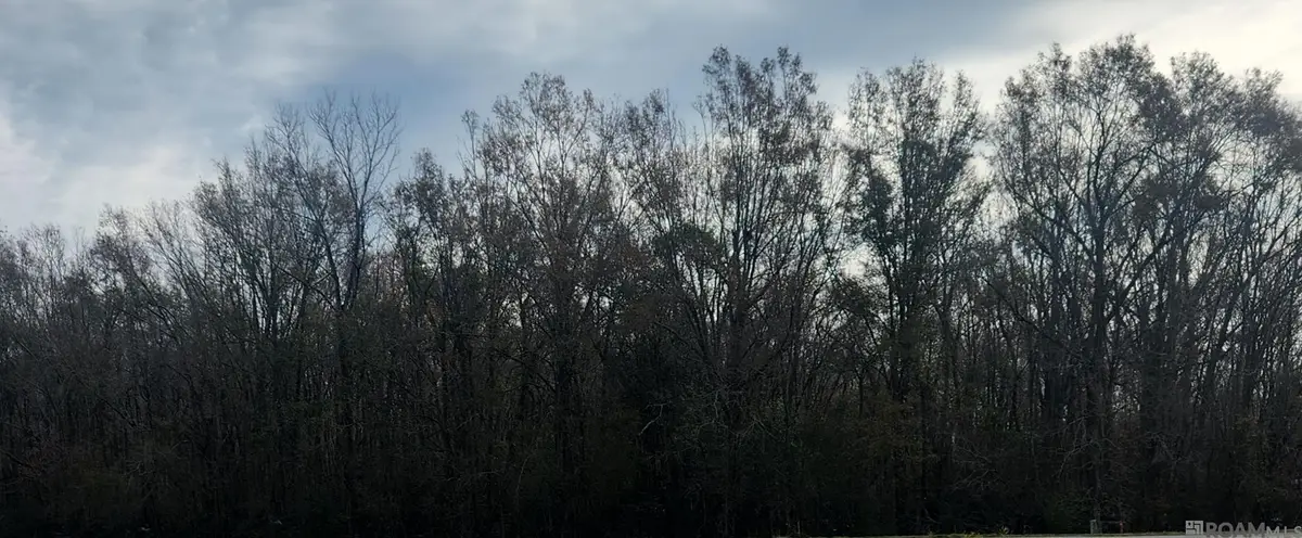 tbd Main St, Sorrento, LA 70778 - Image #1