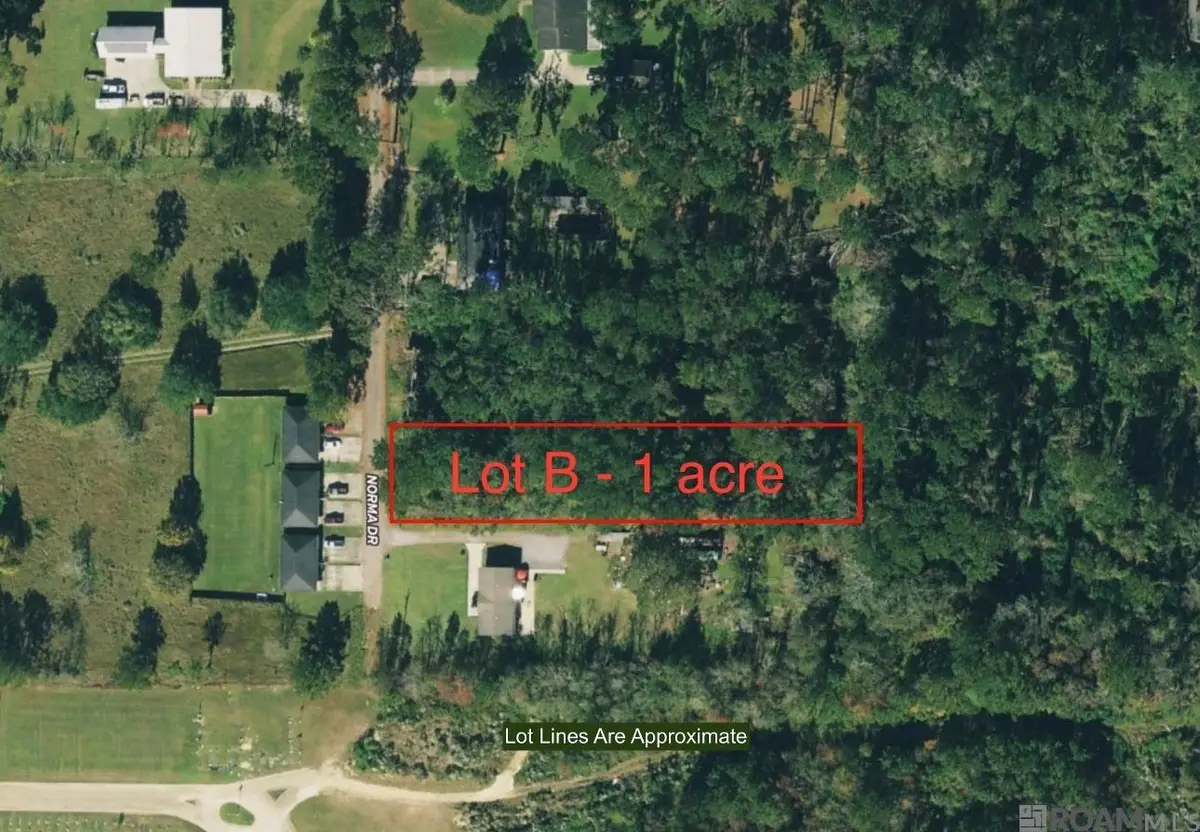 1600 Norma Dr, Denham Springs, LA 70726 - #1